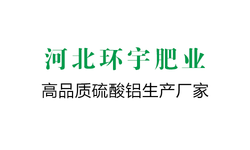 超聲波振頭